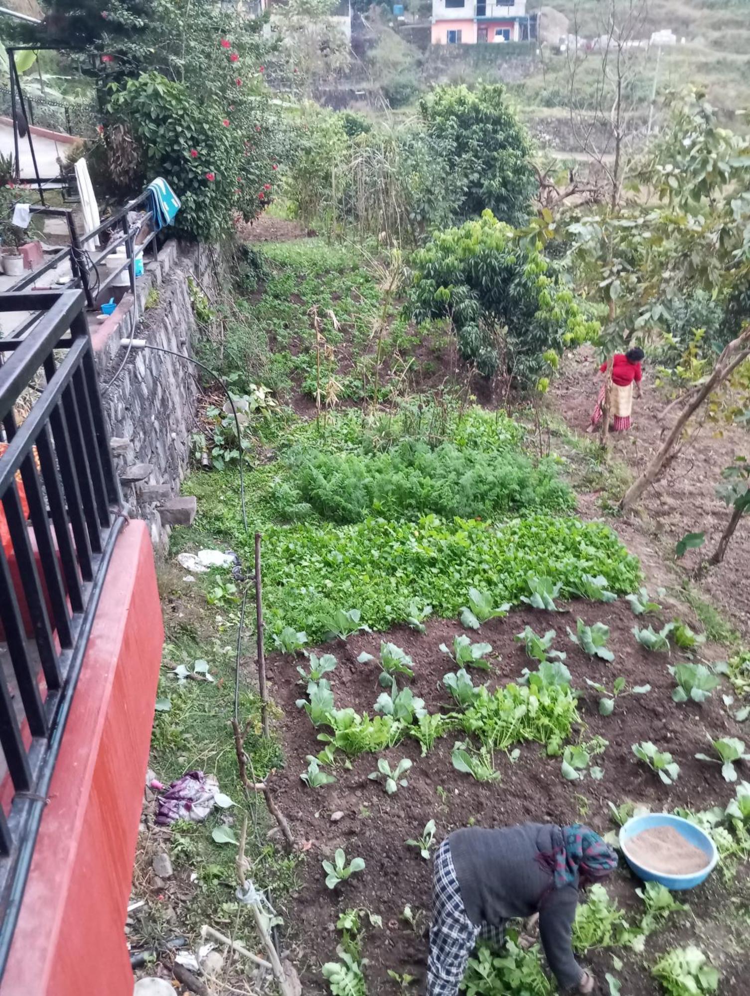 Gautam Garden Guest House Pokhara Exterior foto