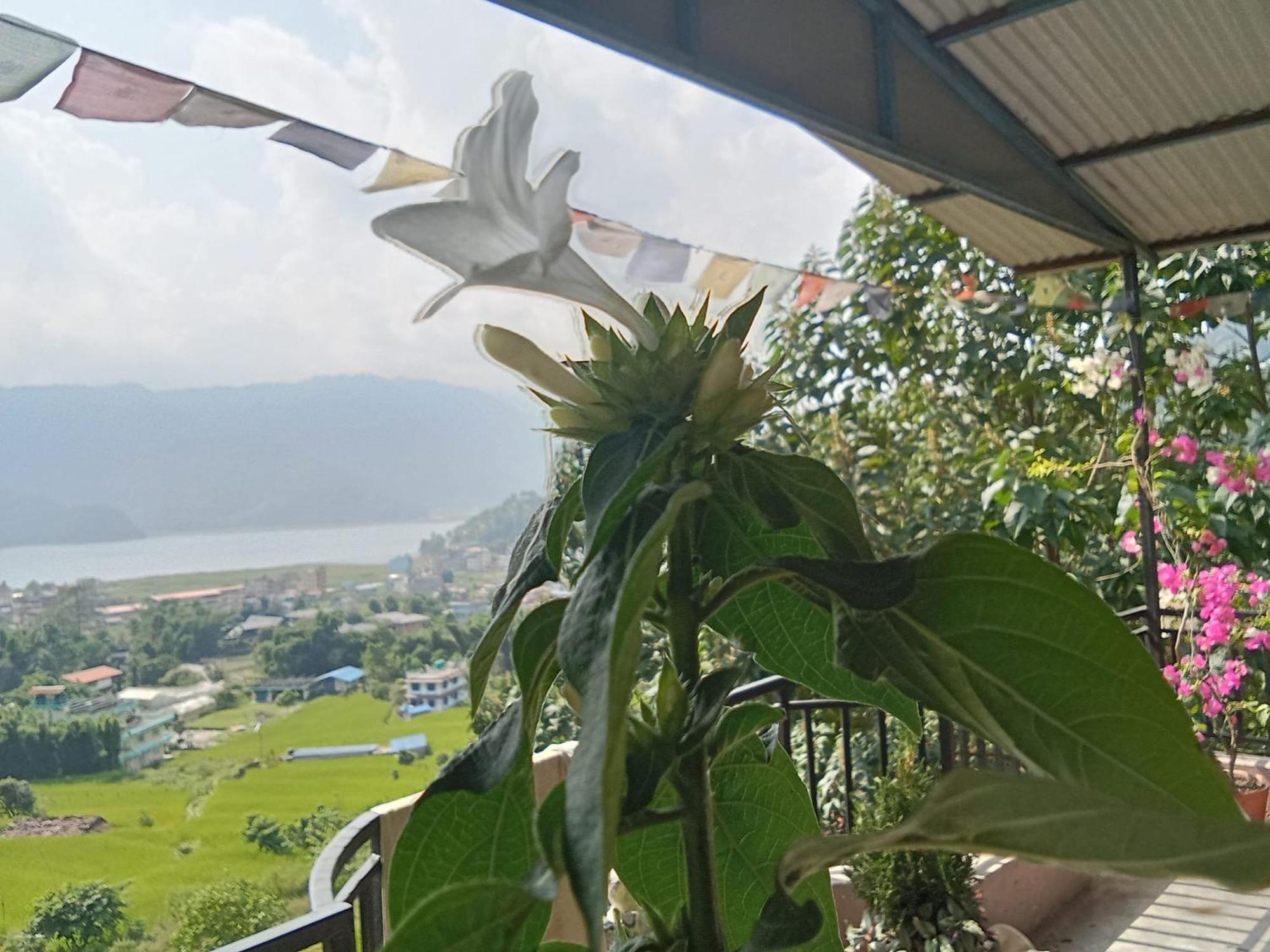 Gautam Garden Guest House Pokhara Exterior foto