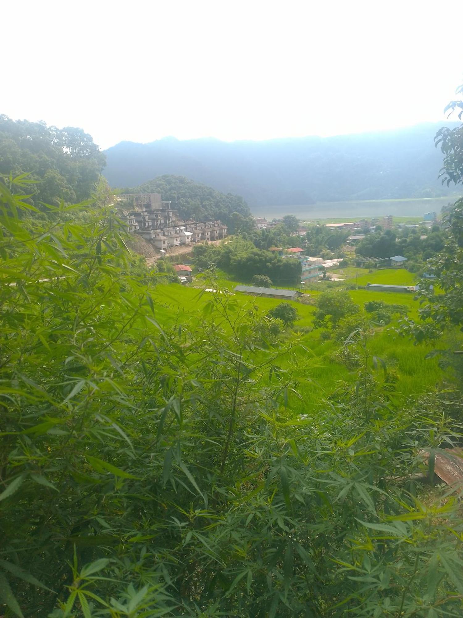 Gautam Garden Guest House Pokhara Exterior foto